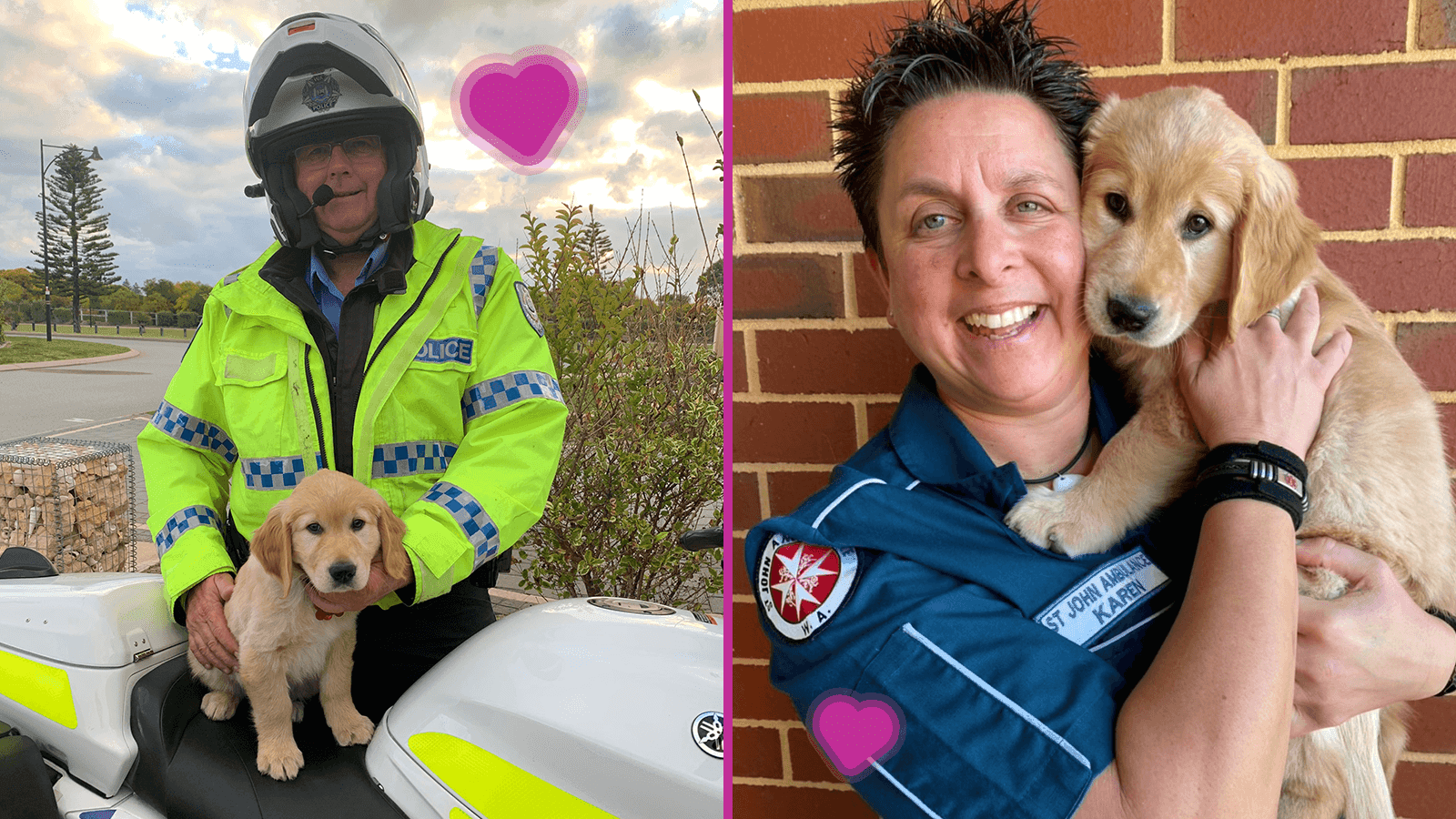 Dogs for First Responders