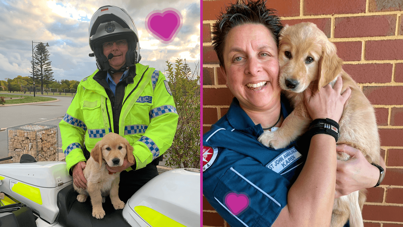 Dogs for First Responders