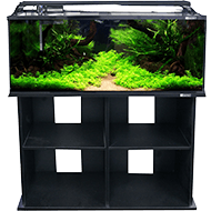 Fish tank filter store petbarn