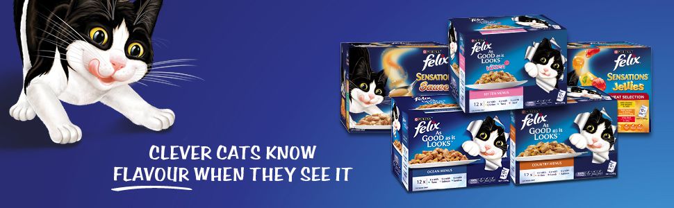 Felix Cat Food Banner