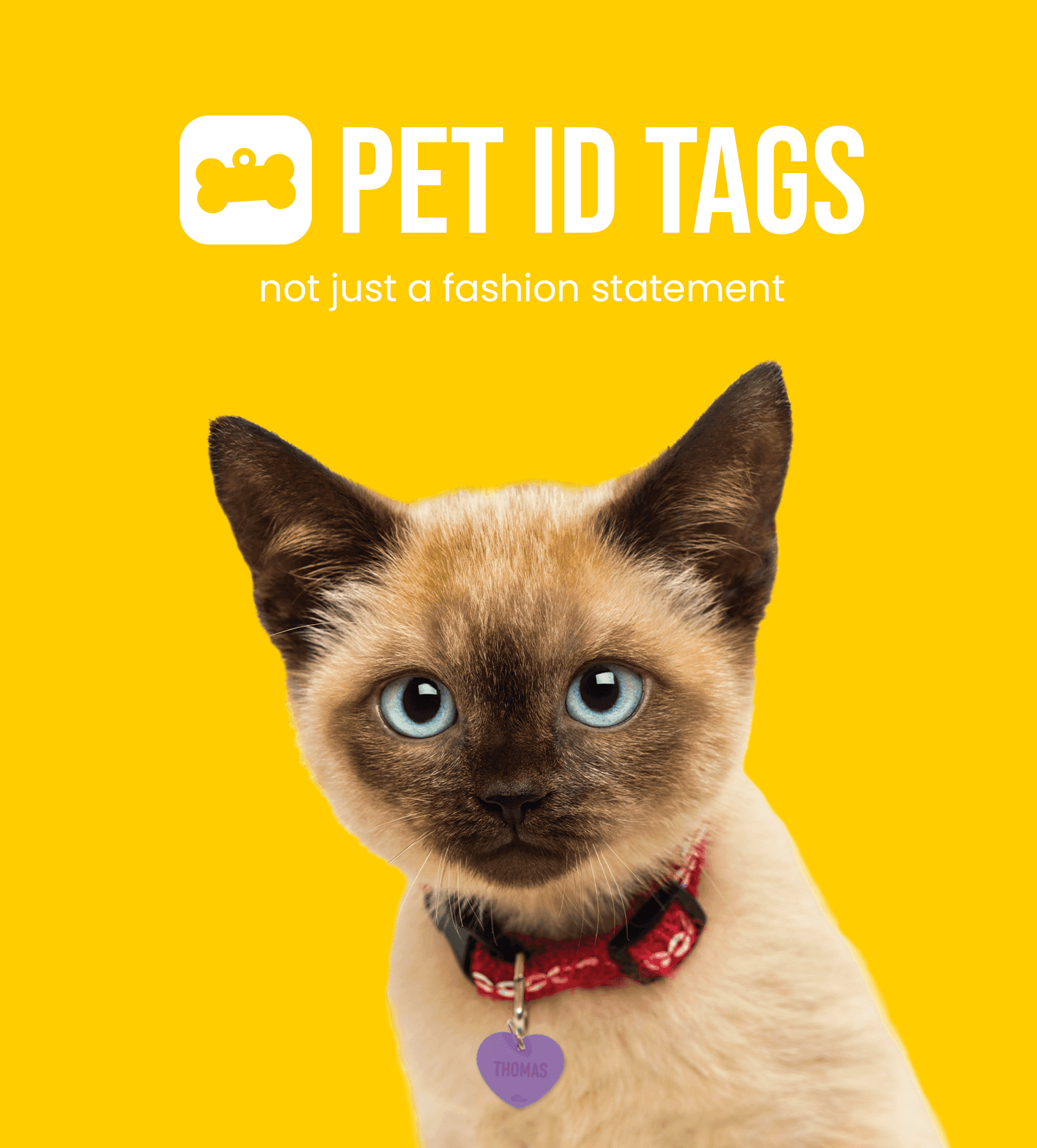 Pet ID Tags Petstock
