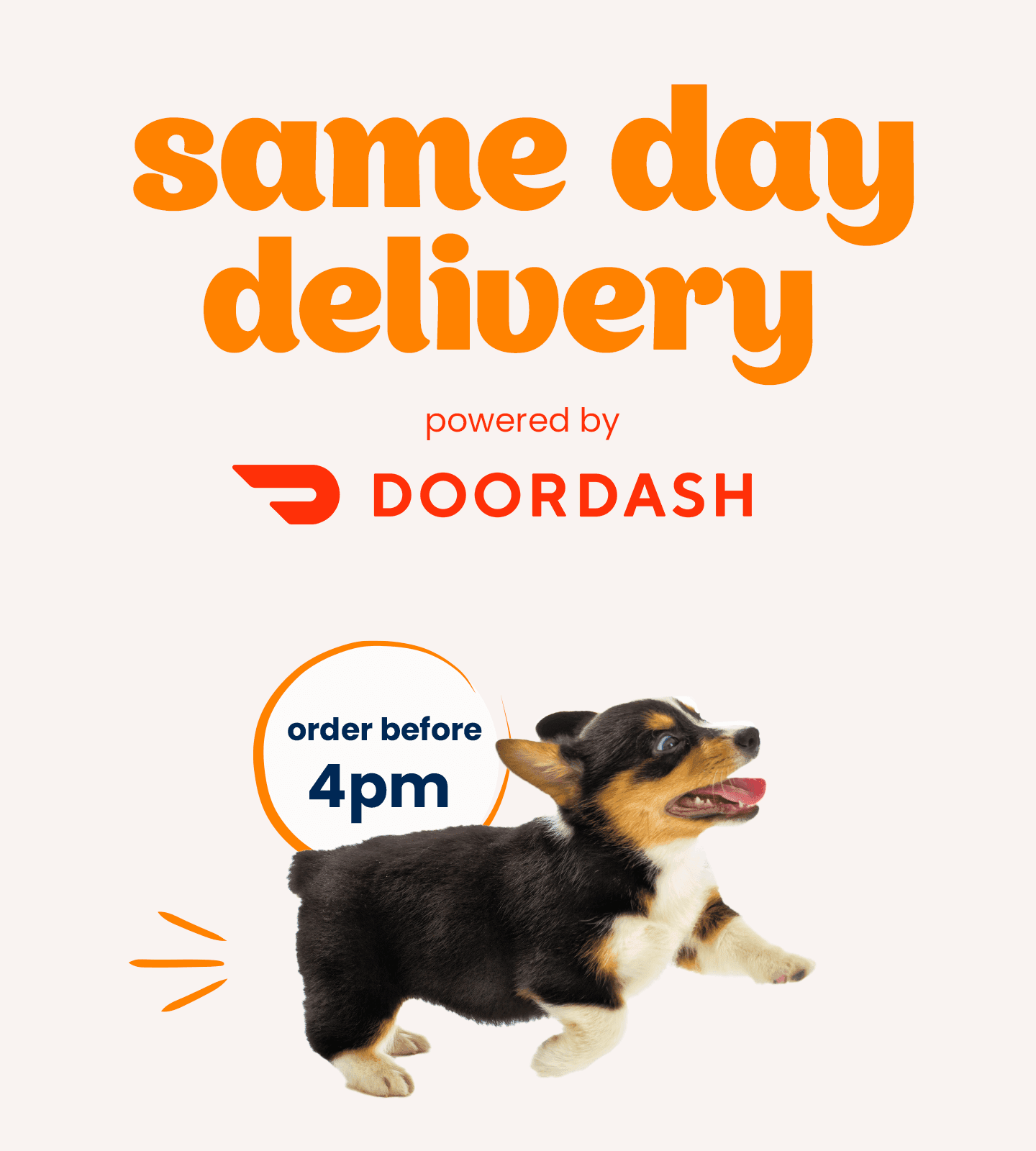 Same Day Delivery Petstock .au